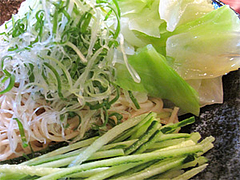 9料理:廣島つけ麺(冷)野菜@廣島つけ麺本舗ばくだん屋・中州店