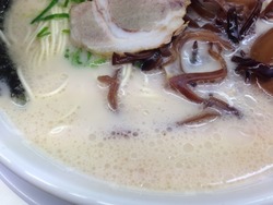 �����ڹ��顼��󥹡��ס���¿ŷ��������