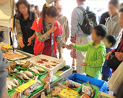 外観:鮮魚店売り場@うまかもん祭り・柳橋連合市場