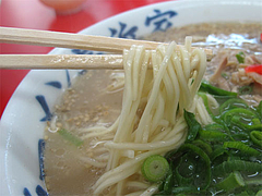 料理:ラーメン普通モード麺@元祖ラーメン長浜家・福岡