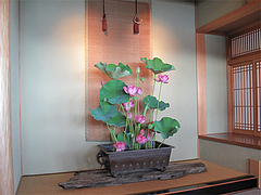蓮祭り11@僧伽小野・糸島