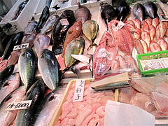 魚・鍋材料@年末の柳橋連合市場・福岡2010