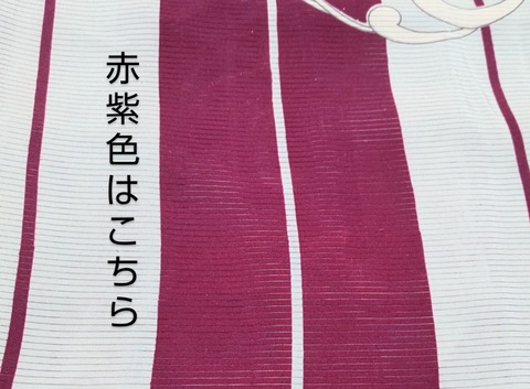 DSC_3922~2