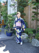 �椫���������礤�Ǥ�