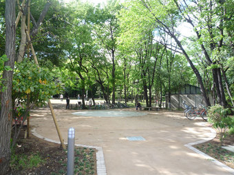 ���ѹ���