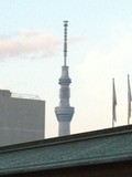 6034b301.jpg