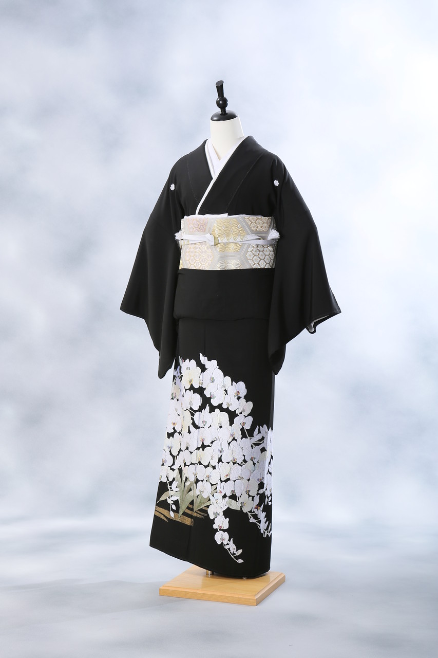 胡蝶蘭のお着物に帯コーディネート Kimono Pro キモノプロ スタッフのブログ