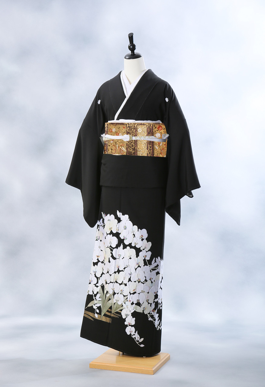 胡蝶蘭のお着物に帯コーディネート Kimono Pro キモノプロ スタッフのブログ