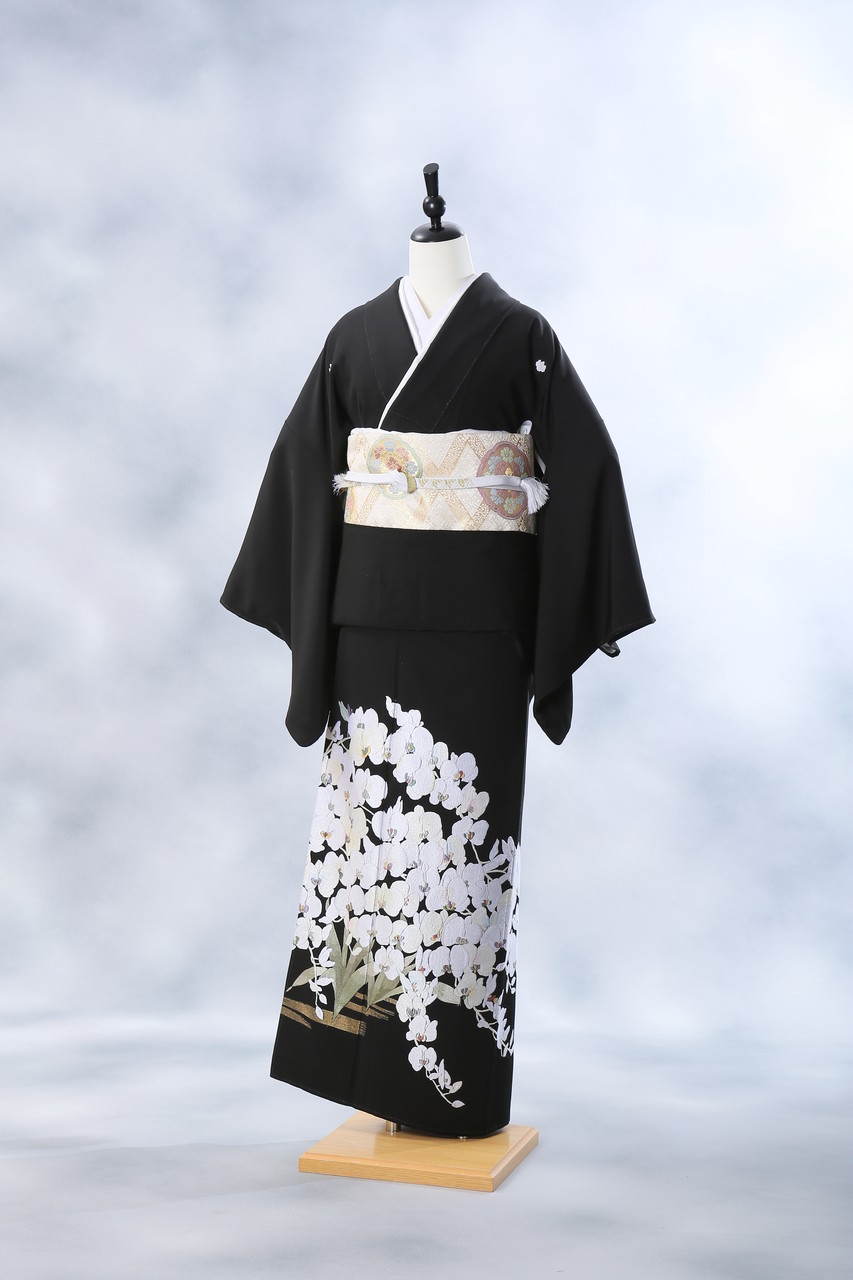 胡蝶蘭のお着物に帯コーディネート Kimono Pro キモノプロ スタッフのブログ