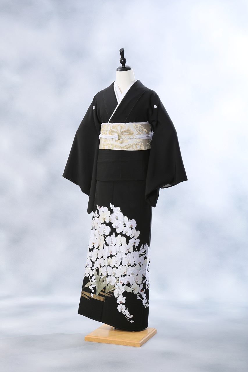 胡蝶蘭のお着物に帯コーディネート Kimono Pro キモノプロ スタッフのブログ