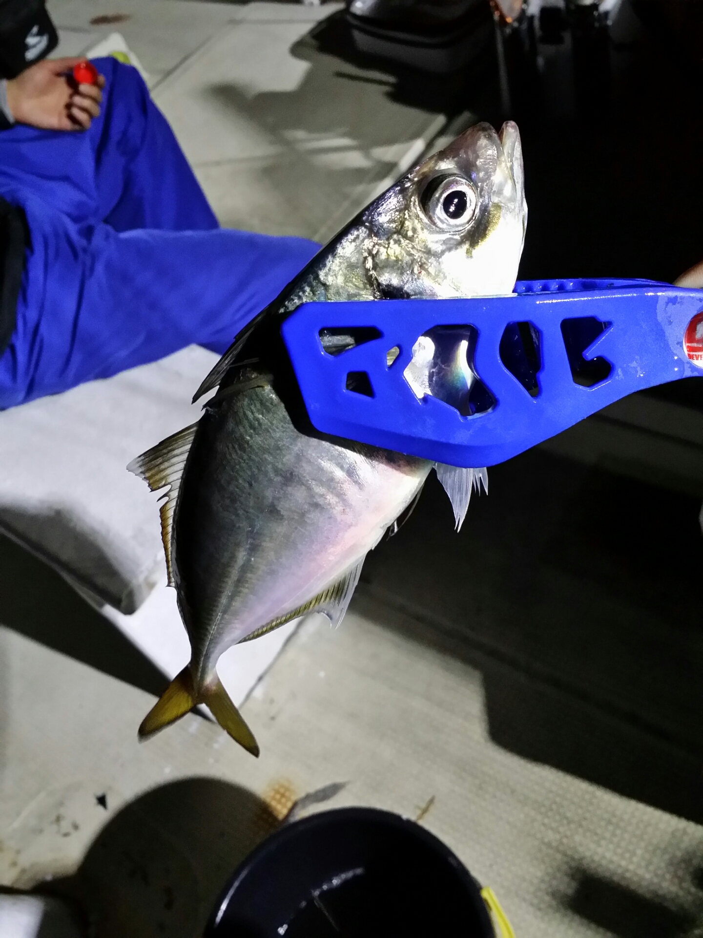 釣福丸ボートアジング 続 Life Is １or８