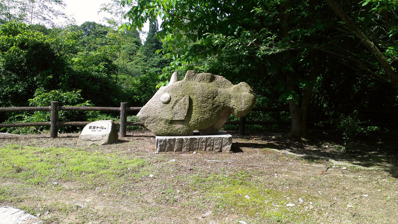 IMAG0025