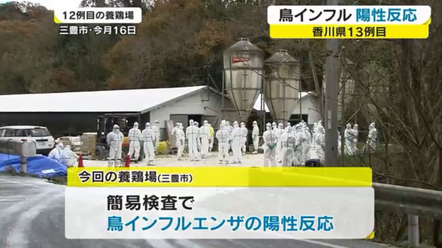 キムチうどん県民 食の危険