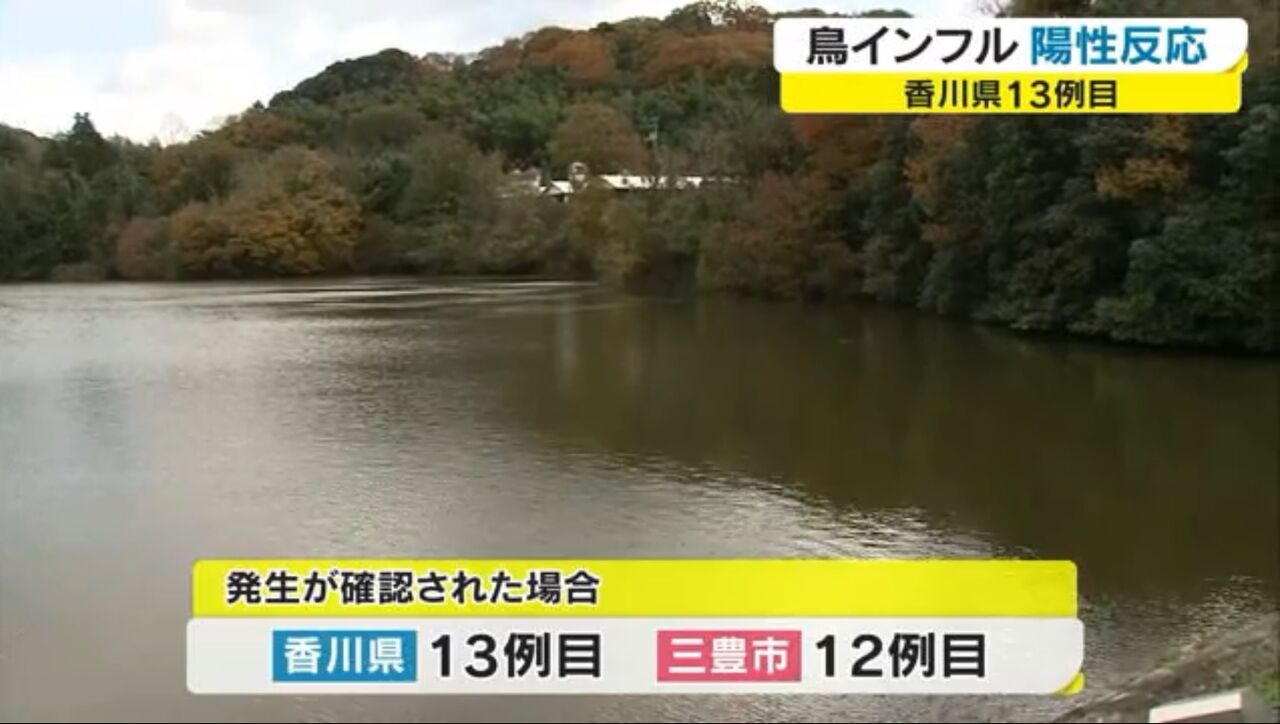 キムチうどん県民 食の危険