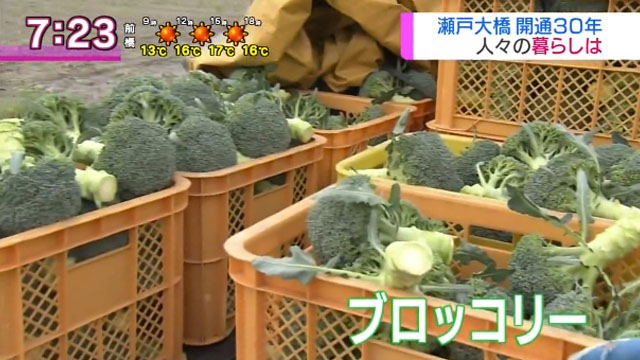 謎の左転 紫雲丸 沈没事故のおかげで開通30年瀬戸大橋 香川県産のブロッコリーが東京都中央卸売市場への出荷量トップ あのクソ不味い給食も香川県産か キムチうどん県民