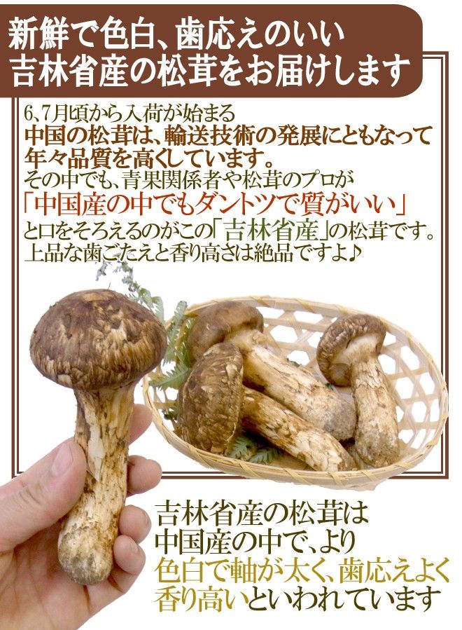 秋の味覚 北朝鮮産 マツタケ シーズン到来 キムチうどん県民 秋の味覚 北朝鮮産 マツタケ シーズン到来 キムチうどん県民