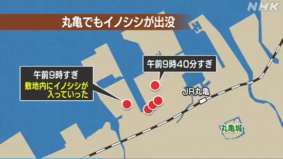 nhk1