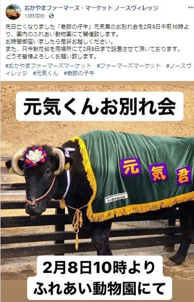 日米貿易協定発効へ 牛肉値下げ 平成10年の台風で流され瀬戸内海の島で生きていた奇跡の子牛 黒毛和牛 元気くん 大往生 キムチうどん県民