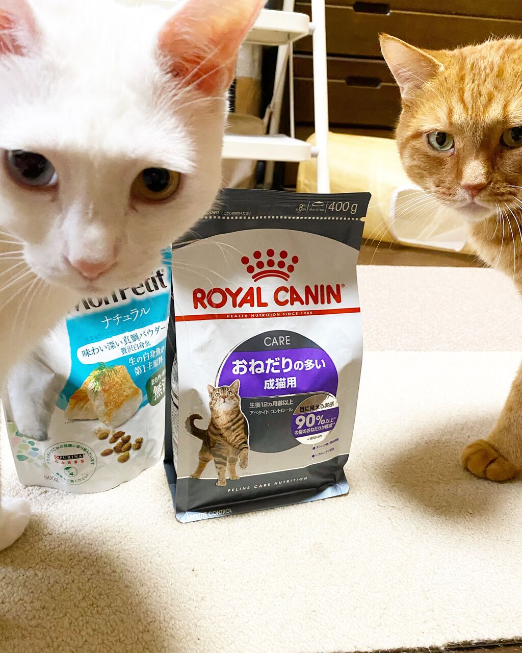  CANIN おねだりの多い成猫用 3袋セット 2kg set2941ro.jpg