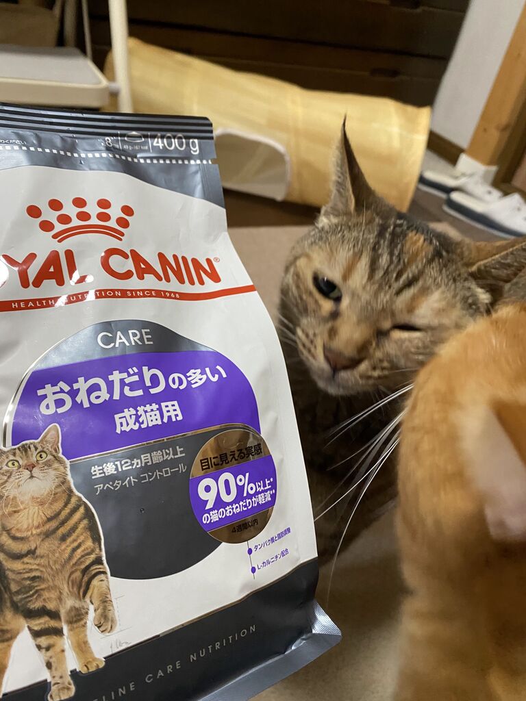 アペタイト コントロール（おねだりの多い猫専用フード 成猫用