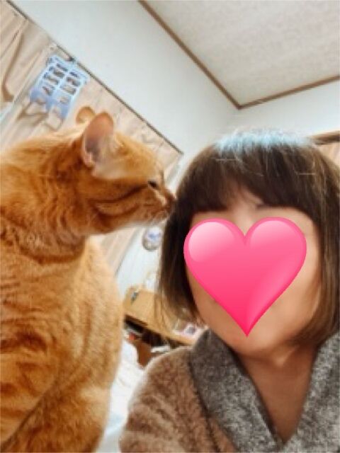 646C0DFC-6F22-4ACE-BDF5-6B1CA3194645