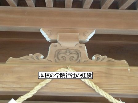 蛙股