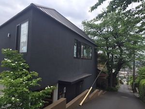 IMG_7541