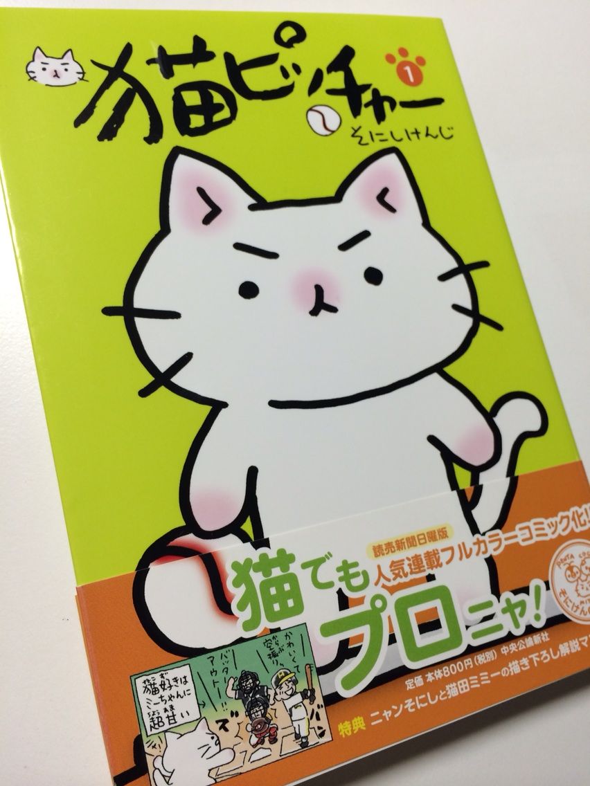 猫ピッチャー そにしけんじ を読みました キムラボ 税理士 きむらあきらこ 木村聡子 のセルフコントロール研究所 猫ピッチャー そにしけんじ を読みました キムラボ 税理士 きむらあきらこ 木村聡子 のセルフコントロール研究所