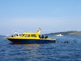 3-diving-1020-014