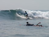 P1267429