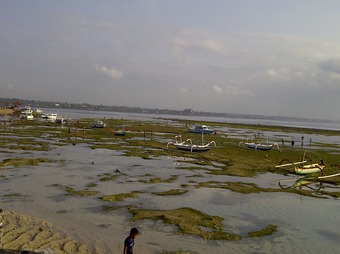 Blahbatu-20111002-00166