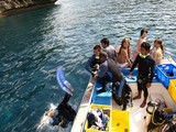 3-diving-1020-004