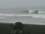 IMG00153-20101229-1407