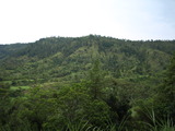 PC160381