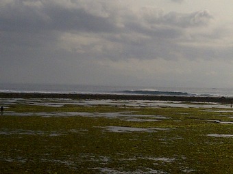 Sukawati-20111002-00169