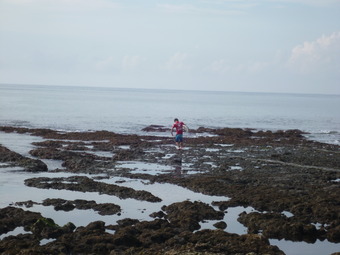 P1000449
