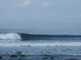 IMG_2296[1]
