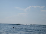 IMG_2799[1]