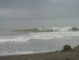 IMG00134-20101226-1015