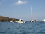 3-diving-1020-012