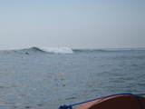 IMG_2218[1]