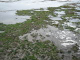 IMG_1975[1]