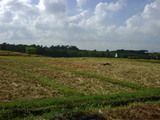 IMG00130-20100211-0903
