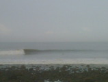 IMG00773-20101015-0750