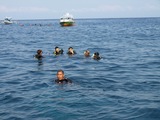 3-diving-1020-006