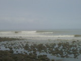 IMG00767-20101014-1007