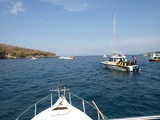 3-diving-1020-011