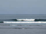 IMG_2232[1]