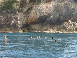 3-diving-1020-015