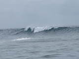 IMG_2363[1]